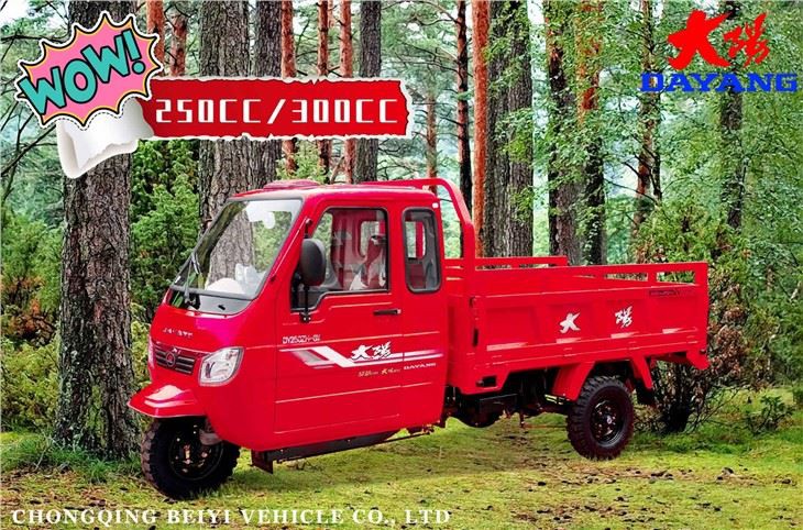 Enclosed Cabin Tricycle 200CC 250CC