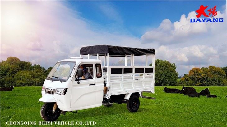 Super heavy loading cargo tricycle on sale