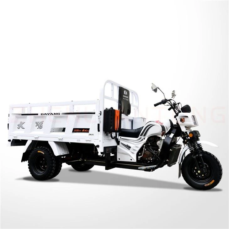 250cc Three Wheeler Carga Tricar