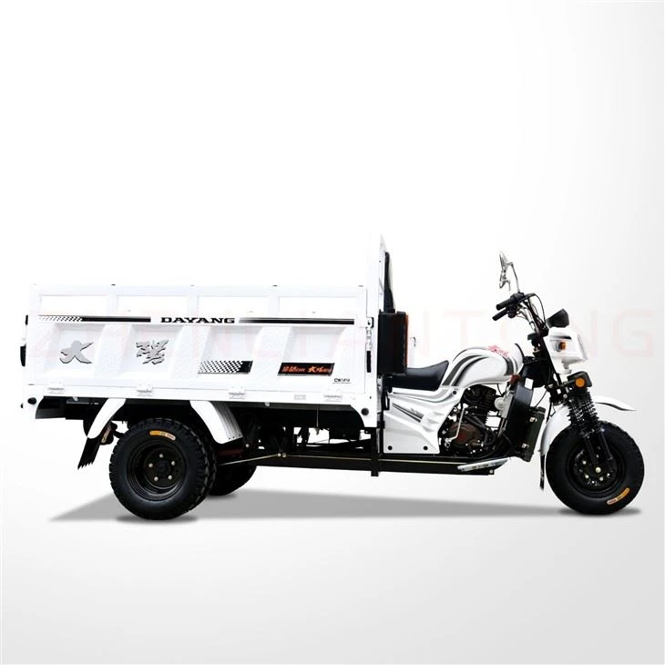 250cc Three Wheeler Carga Tricar