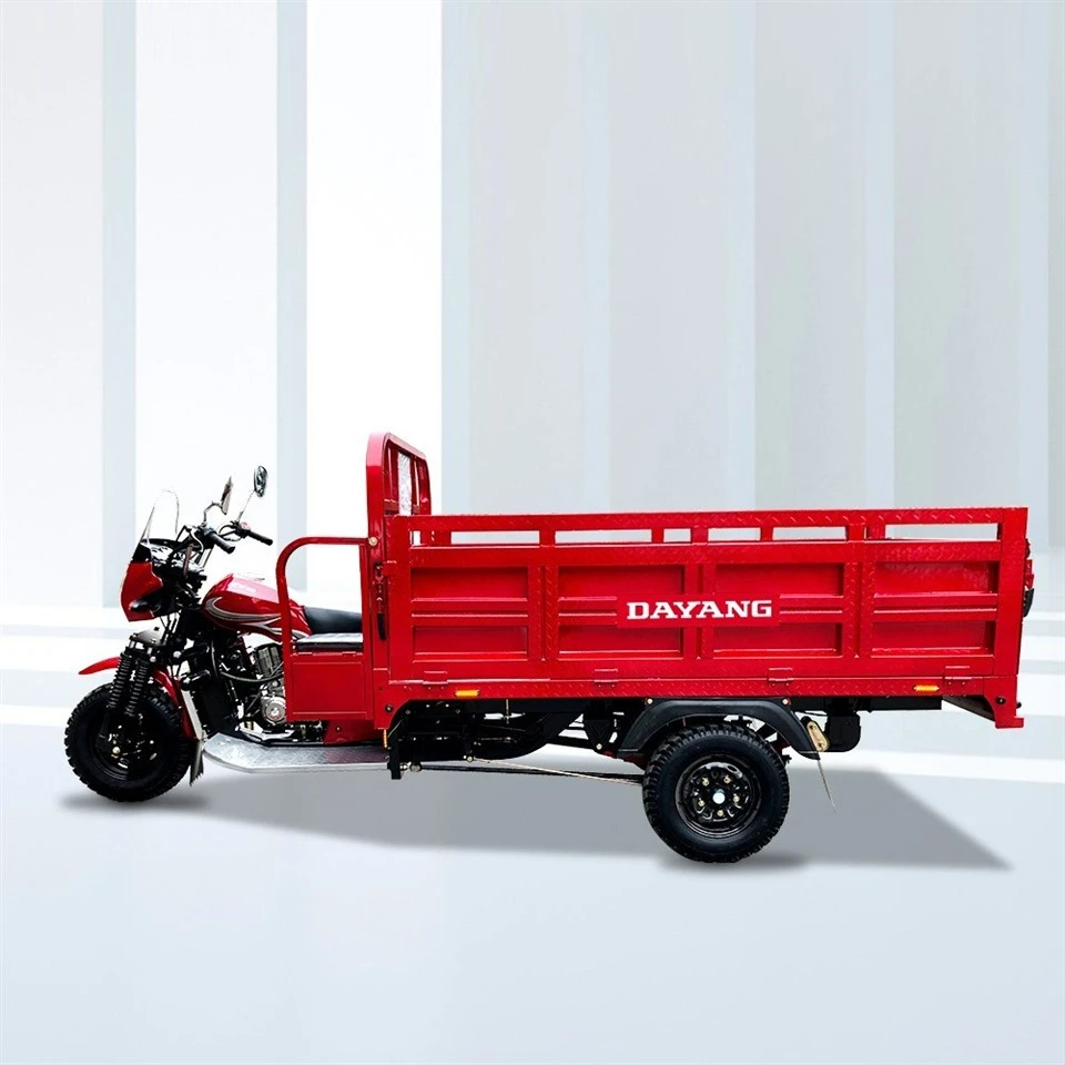 Gasoline Tricycle Water-Cooled Vehicle Custom