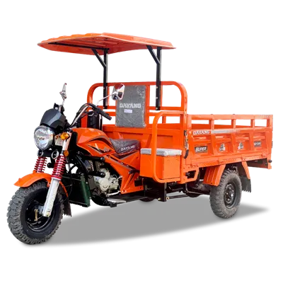 250cc Cargo Load Trehjulet motorcykel