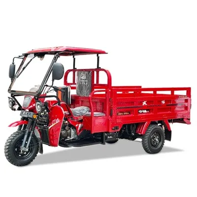 Benzin Cargo 250cc trehjulet cykel